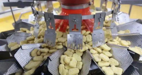 肉雞出欄20.45億只 山東為全國肉類食品安全供應持續(xù)保駕護航