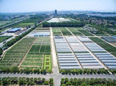 2017武漢種業(yè)博覽會亮點紛呈!種博會工作步步高!