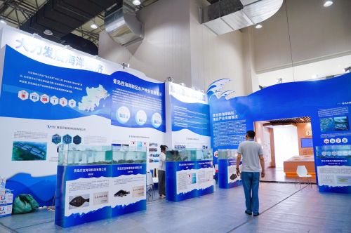 做好 藍色種業(yè) 大文章 西海岸新區(qū)水產(chǎn)企業(yè)亮相2024青島種業(yè)博覽會