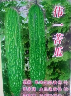 優(yōu)質(zhì)苦瓜種子批發(fā)指南 壽光宇豐種業(yè)的產(chǎn)品與服務(wù)