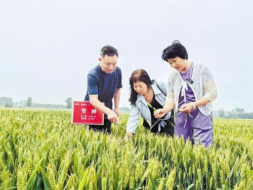 國家級展會賦能，洞見中國種業發展的新機遇