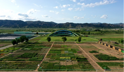 蒙草生態上市十周年 以種業為本，科研當先，深耕生態修復的“中國草”